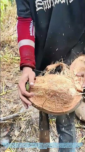 Peeling Coconuts on Edge: How a Vertical File Cleans a Nut in Seconds