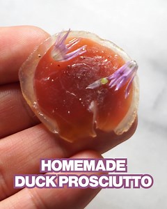 119K views · 1.1K reactions | Homemade Duck Prosciutto Will Have Your Knees Trembling! | Matt Broussard | Facebook
