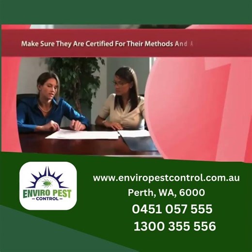 Pest Control Perth | The Right Pest Control Specialist