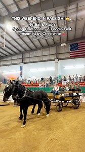 14K views · 89 reactions | FAMILY FRIENDLY FESTIVAL IN RALEIGH!! 鸞 ...