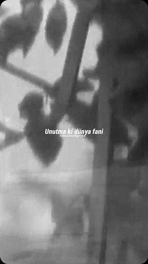 Şarkı Sözleri | Lyrics on Instagram: "“Unutma ki dünya fani, veren Allah alır canı Ben nasıl unuturum seni? can bedenden çıkmayınca” 🎶Barış Manço - Can Bedenden Çıkmayınca #barışmanço #canbedendençıkmayınca #anadolurock #nostalji #lyrics #lyricedits"