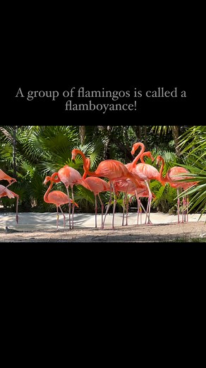 5.3K views · 36 reactions | You can listen to more here: https://apple.co/4h5bu08 Video by Vidura Barrios | Music for Deep Meditation | Facebook