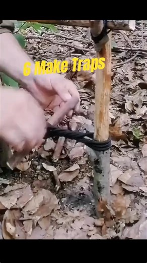 210K views · 2.3K reactions | Top 6 make simple traps #traps #survival #survivaltips | Wild survival | Facebook