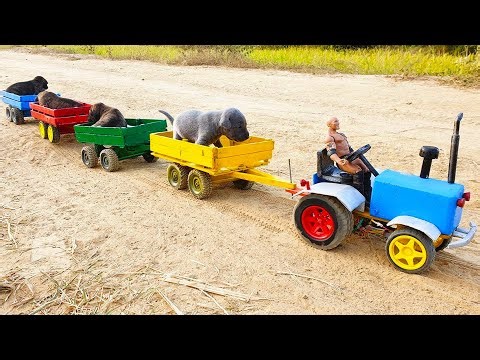 How To Build Wooden Tractor With Multiple Trailers and Cute Puppies