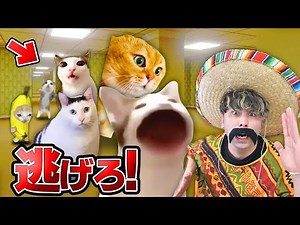 『猫ミーム』から逃げろ！恐ろしいミームたちが追いかけてくる世界がヤバかった！【ロブロックス/ROBLOX】