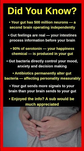 Mind-Blowing Facts About Your Gut Feeling 🫃🧠
