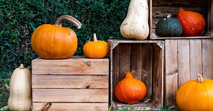 23 Festive Halloween Perler Bead Patterns - Cool Kids Crafts