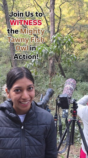9.1K views · 2.2K reactions | We all came together to see India’s biggest fish owl — the Tawny Fish Owl. Watch this amazing bird up close as it shows its size and power in its natural home. If you love wildlife and birds, this is a rare chance to see the mighty Tawny Fish Owl in action. Don’t miss it! | Sakshi Naturalist | Facebook