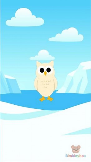 Arctic Animals Finger Family ❄️ Seal, Narwhal & Owl Song | Bimbleyboo