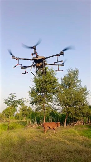 Agriculture Drone Spray | Smart Farming Technology | Drone Spraying Crops