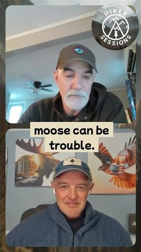 Maine state biologist Lee Kantar discusses the possible dangers of moose encounters #hikersessions