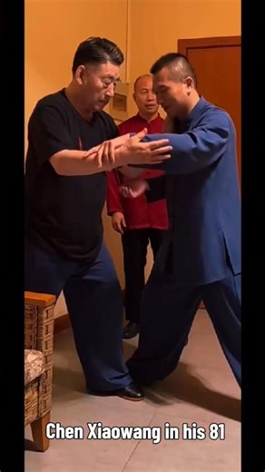 Chen Xiao Wang in his 81#systema #taichi #taiji #internal #kungfu