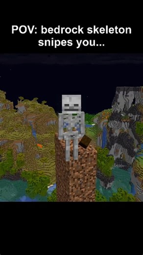 6.8K views · 54K reactions | Minecraft Bedrock Skeleton Be Like  ....