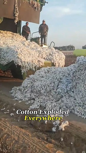 Cotton Amazing Working Process | Overall cheep