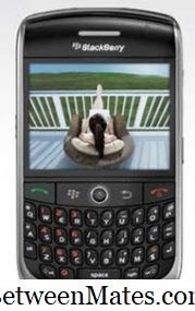 Unterschied zwischen PDA und Smartphone Unterschied zwischen - Andere 2026