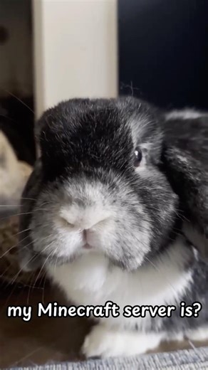 The Vee Hive Minecraft Server #minecraft #smp #minecraftserver #cozyminecraft