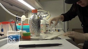 Concept of large data analysis by citizen scientists explained | Britannica