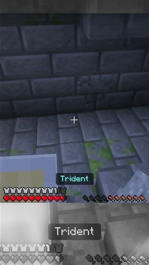 FINDING THE STRONGHOLD HITS DIFFERENT #minecraft #memes #minecraftrealistic #gaming #minecraftmemes