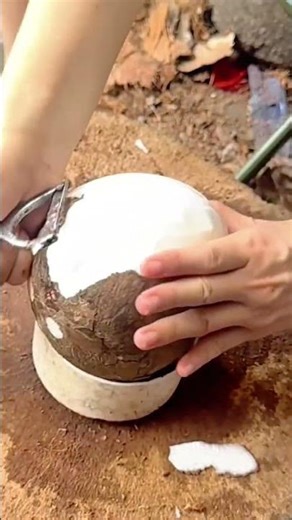 Carefully peeling coconut shell to reveal a smooth surface for crafting and decoration #CoconutCraft