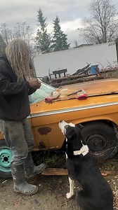 Teaching him manners... 👑🙇‍♂️🐾 #rustbros #rustvalleyrestorers #mikehall #wildmangarage #carproject #classiccars #carrestoration #funny #meme #dogs #animals | Rust Bros Restorations
