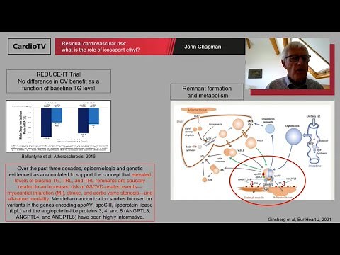 Residual cardiovascular risk. What is the role of icosapent ethyl?