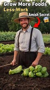 10 Amish Gardening Trick To Grow More Foods With Less Work #shorts #amish #gardening #amishsecrets