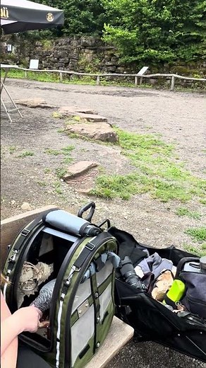 Dinosaur cuddles @ Dinosaurierpark Teufelsschlucht Deutschland #backpackingparrot #celltei #pakobird