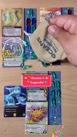 Discover the Fun of Fish Board Games with Fafair and Pitz