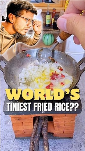 WORLD Tiniest Fried Rice Ever Made…