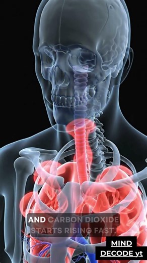 What If You Stopped Breathing for 1 Minute 😳