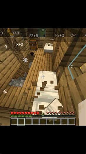 minecraft Java edition