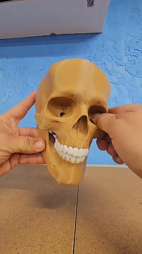 Artoverkill on Instagram: "This skull is awesome"