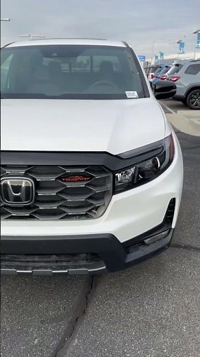 Tough Choice To Make!