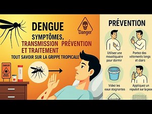 Dengue : Symptômes, Transmission, Prévention et Traitement – Tout savoir sur la grippe tropicale