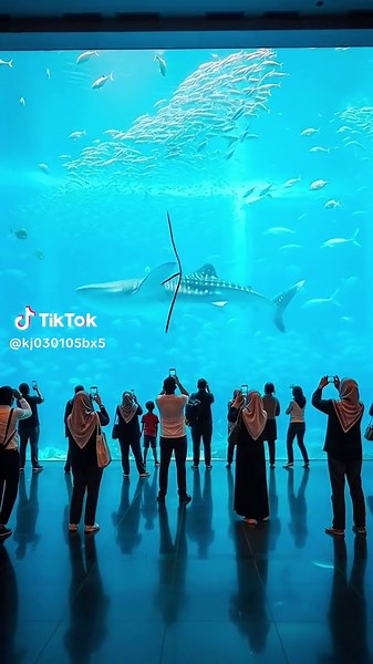 #collapse #disaster #fyp #crash #createrinsight