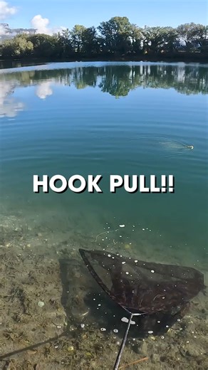 SO CLOSE! 🫣 Who can relate to this? Have you ever lost a target fish at the net? Samir lost his first fish from a new water on the latest Carplifer XL Road Trip, but the Arebis soon got revenge, banking a load of lovely Alpine carp! It’s out now on the Cypography website. 🤔 What to expect from this film? _______________________________ ⏰ 46-min film 🗻 Carping in the Alps! 🚐 European Road Trip! ℹ️ Boat Fishing for Monsters 🧙‍♂️🧙‍♀️Samir and Claire Arebi 🎬 All About The Journey ✅ Available 