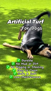 332K views · 1K reactions | SICK AND TIRED OF MOWING YOUR LAWN?...