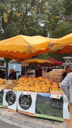 109K views · 851 reactions | La foire de la pomme et de l’oignon doux attire une nouvelle fois cette année des milliers de visiteurs et saveurs au Vigan ce week-end. | ObjectifGard | Facebook