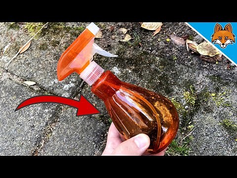 Mit diesem WUNDERMITTEL entfernst du Moos ganz einfach 💥