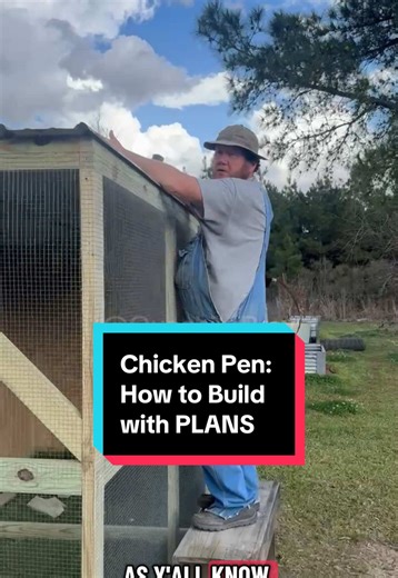 Let me show yall HOW to build a chicken coop! Step by step guide and I even put free plans with measurements in the video for you to check out and look at! Check it out! Share it with your buddies with chickens! Drop pictures of your chicken tractors in the comments! I’m trying to figure out how to put wheels on this thing! @DEWALT #DIY #chickencoop #homestead #TikTokLearningCampaign #LearnOnTikTok