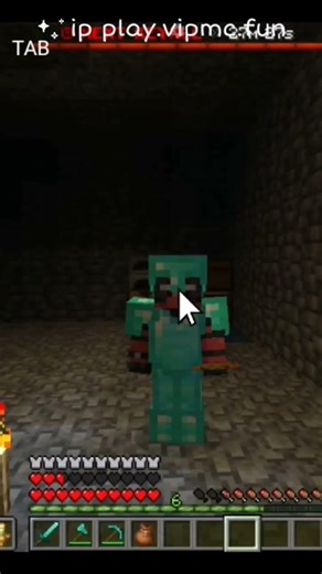 🔥 Playing VIPMC Minecraft Server#vipmc#birdtrend