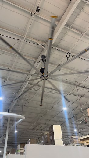 That’s a big ahh fan 😂 | Cabinet Carl