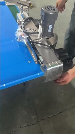 Automatic Fish Descaling and Cleaning Machine | Smart Seafood Processing