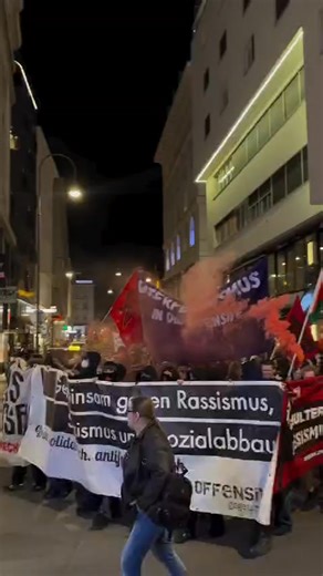 A large march took place in Vienna, Austria's capital, showing solidarity with Palestine and protesting against oppression.🇵🇸♥️ | Olive Palestine
