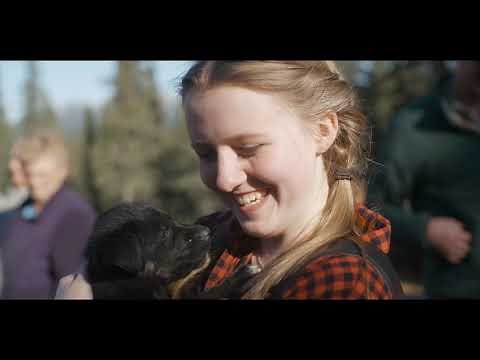 Alaska Cruise Vacation - By Land & Sea - Holland America Your Alaska Experts