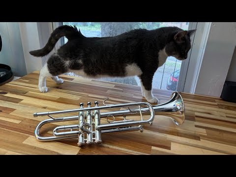 Getzen Eterna Severinsen Trumpet