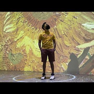 Immersive Van Gogh Exhibit in Toronto