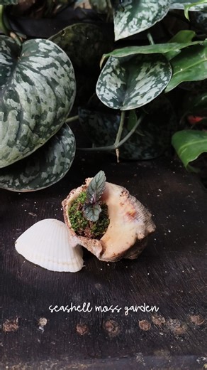 Easy table top plant decor #tabledecor #pinterest #diygardening