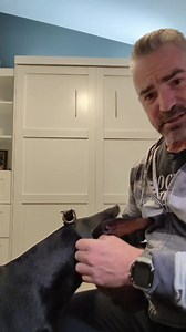 37K views · 3.7K reactions | Hope this explains a little better on why I use this collar. I'm always open for different methods of training because every dog is different and no one method works for all when it comes to training. Keeper Collars is the company | Rubydoobydo | Facebook