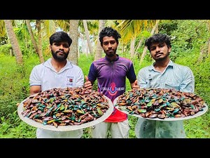 YUMMY MUSSEL FRY & MUSSEL SOUP | Kadal Chippi Fry | Oyster Recipe | Village Local Cooking